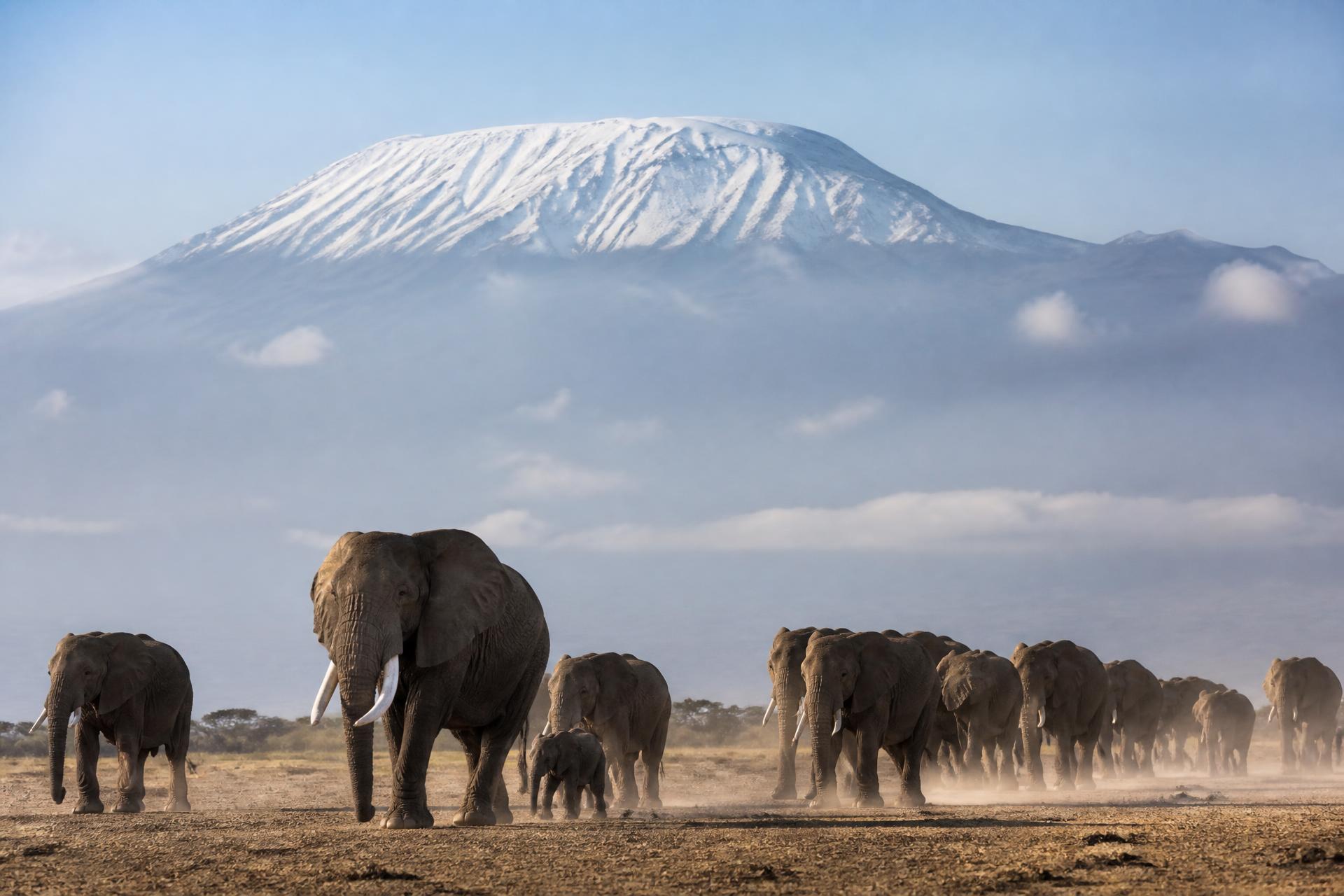 Amboseli