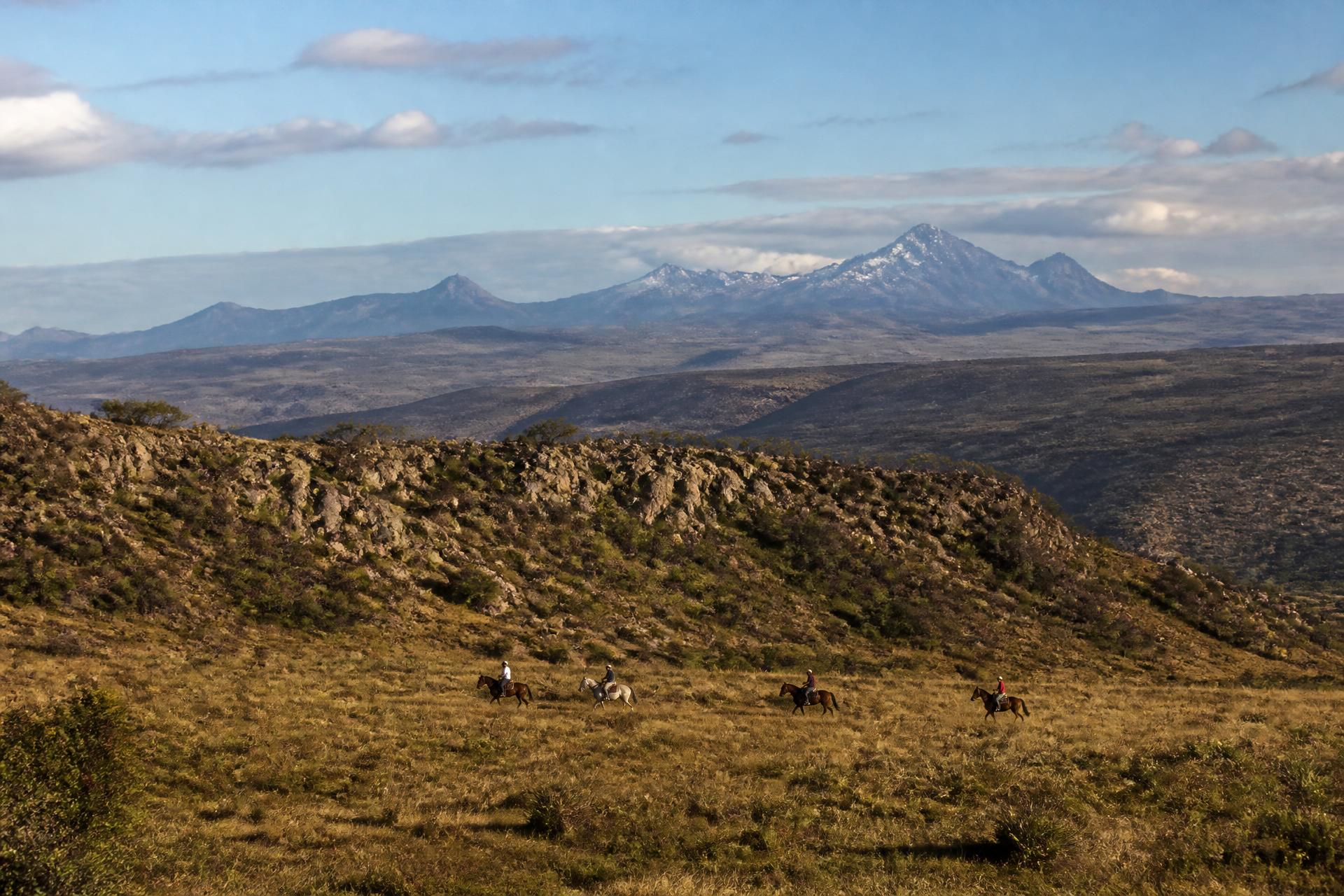 Open highland country in Laikipia at dawn